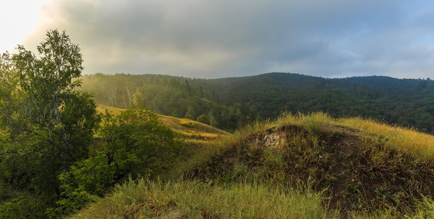 Морквашинская дорога