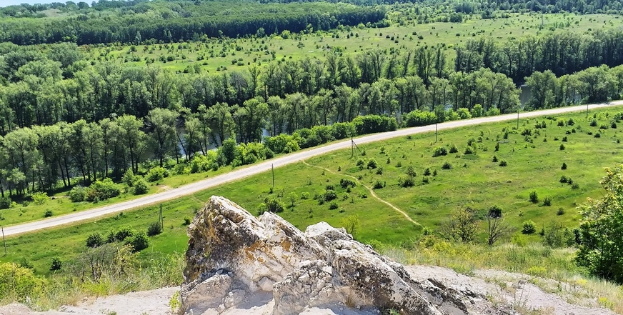 Кленовники Сидоровых гор