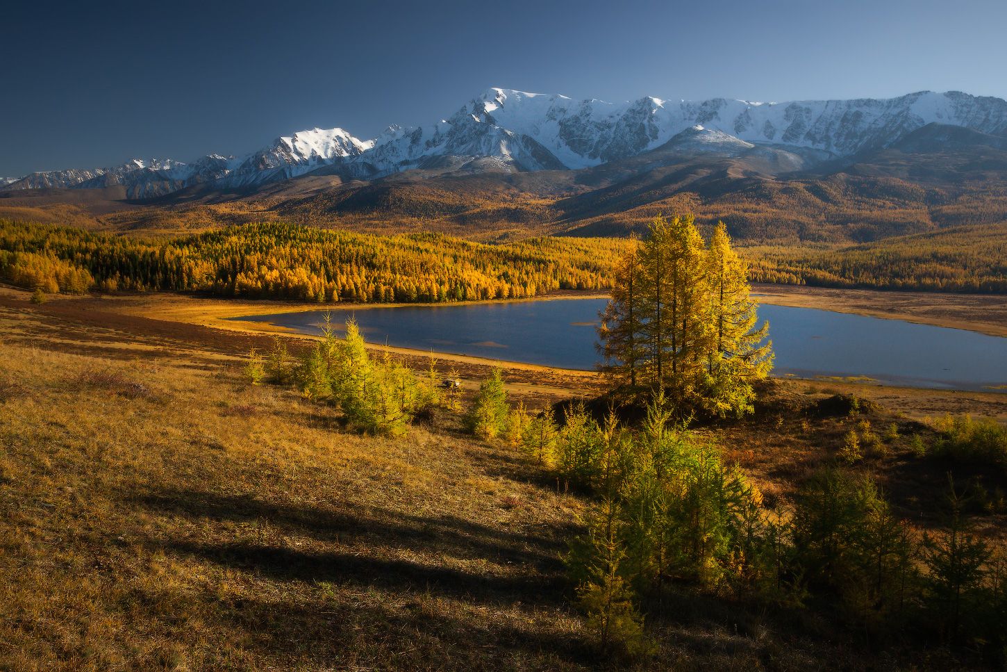 Природа Адыгеи, лес, осень